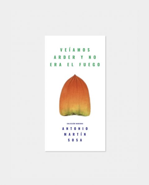 Veíamos arder y no era el fuego
