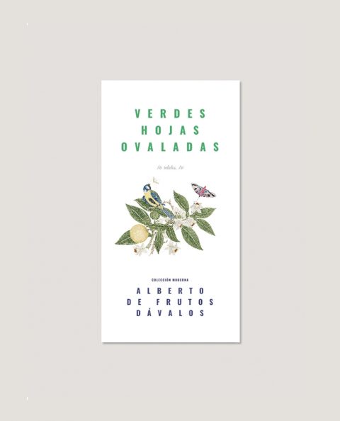 Verdes hojas ovaladas